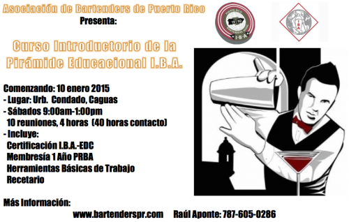 curso-introductorio-de-la-piramide-educacional-iba